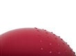 Gimnastikos kamuolys, 65 cm, raudonas kaina ir informacija | Gimnastikos kamuoliai | pigu.lt