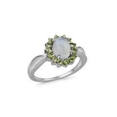 Серебряное (925) кольцо с драгоценными камнями, код ah5359-1213 AH5359-1213EU-55 цена и информация | Кольца | pigu.lt