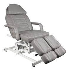 "Косметическое электрическое кресло Azzurro 673AS pedi 1 motor grey цена и информация | Мебель для салонов красоты | pigu.lt