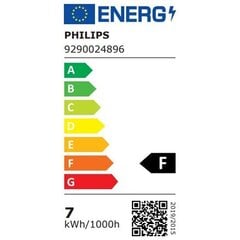 Philips lemputė Hue White and Color, 4 vnt kaina ir informacija | Elektros lemputės | pigu.lt