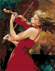 Kартины по цифрам «Женщина и скрипка», 40x50, RA238G цена и информация | Живопись по номерам | pigu.lt