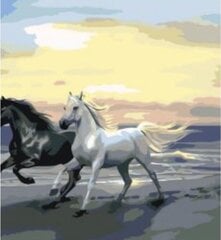 Kартины по цифрам «Лошади и море» 40x50 KTMK-978231G цена и информация | Набор для рисования по номерам | pigu.lt