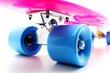 Riedlentė Pennyboard 55 cm цена и информация | Riedlentės | pigu.lt