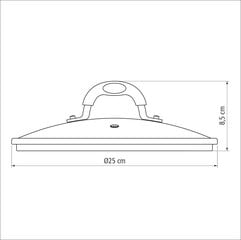 Tramontina Monaco Induction крышка Ø24 cm  цена и информация | Cковородки | pigu.lt