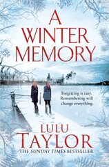 A Winter Memory kaina ir informacija | Romanai | pigu.lt