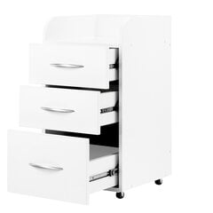 Комбинированный шкаф II белый цена и информация | Мебель для салонов красоты | pigu.lt
