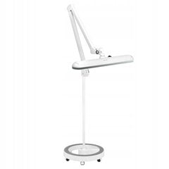 Лампа для мастерской Elegante 801-l со штативом интенсивность рег. бел. цена и информация | Торшеры | pigu.lt
