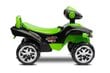 Paspiriama mašinėlė Toyz MiniRaptor Green kaina ir informacija | Žaislai kūdikiams | pigu.lt