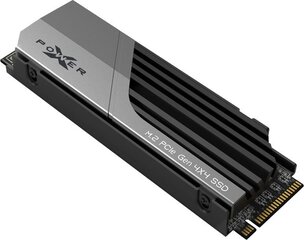 SP01KGBP44XS7005 kaina ir informacija | Vidiniai kietieji diskai (HDD, SSD, Hybrid) | pigu.lt