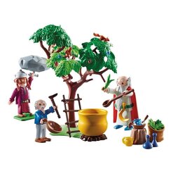 70933 PLAYMOBIL, Asterix : Getafix with the caldron of Magic Potion цена и информация | Конструкторы и кубики | pigu.lt