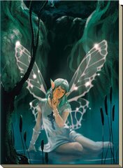 Užrašų knyga Celtic Fairy kaina ir informacija | Ezoterika | pigu.lt