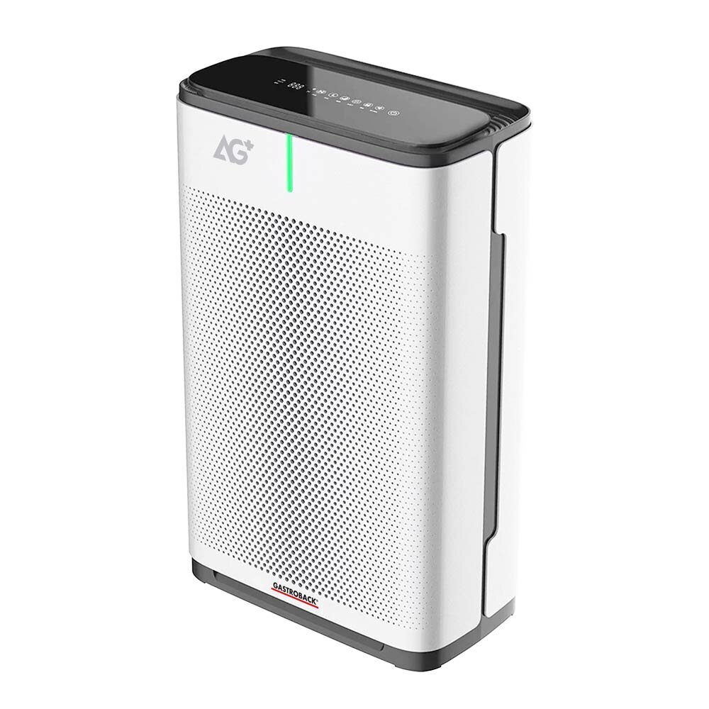 Oro valytuvas Gastroback Air Purifier AG+ AirProtect kaina ir informacija | Oro valytuvai | pigu.lt