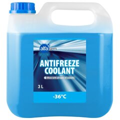 Antifrizas AlfaKem, -36 °C, 3 l kaina ir informacija | Langų ir aušinimo skysčiai | pigu.lt