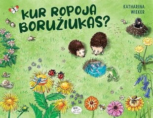 Kur ropoja boružiukas? цена и информация | Книги для детей | pigu.lt