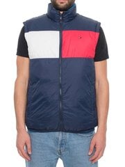 Куртка мужская Tommy Jeans 8719702164904, синяя цена и информация | Мужские жилетки | pigu.lt