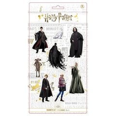 Harry Potter Stickers kaina ir informacija | Žaidėjų atributika | pigu.lt