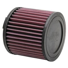 Oro filtras K&N E-2997 kaina ir informacija | Auto reikmenys | pigu.lt