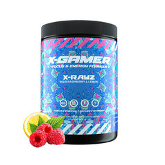 X-Gamer X-Tubz, 600g, X-Rayz kaina ir informacija | Energetikai | pigu.lt