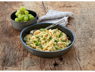 Sublimuotas maistas Trek'N Eat Pasta Primavera цена и информация | Котелки, туристическая посуда и приборы | pigu.lt