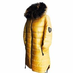 Женский жакет, желтый цена и информация | Женские куртки | pigu.lt