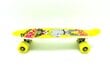 Riedlentė Pennyboard, 55 cm kaina ir informacija | Riedlentės | pigu.lt