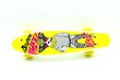 Riedlentė Pennyboard, 55 cm kaina ir informacija | Riedlentės | pigu.lt