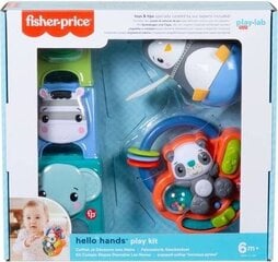 Fisher-Price игровой комплект для возраста 6+ месяцев HFJ93 цена и информация | Игрушки для малышей | pigu.lt