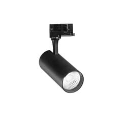 Настенный светильник Flash_AP1_Cromo цена и информация | Трековые светильники и шинопроводы | pigu.lt