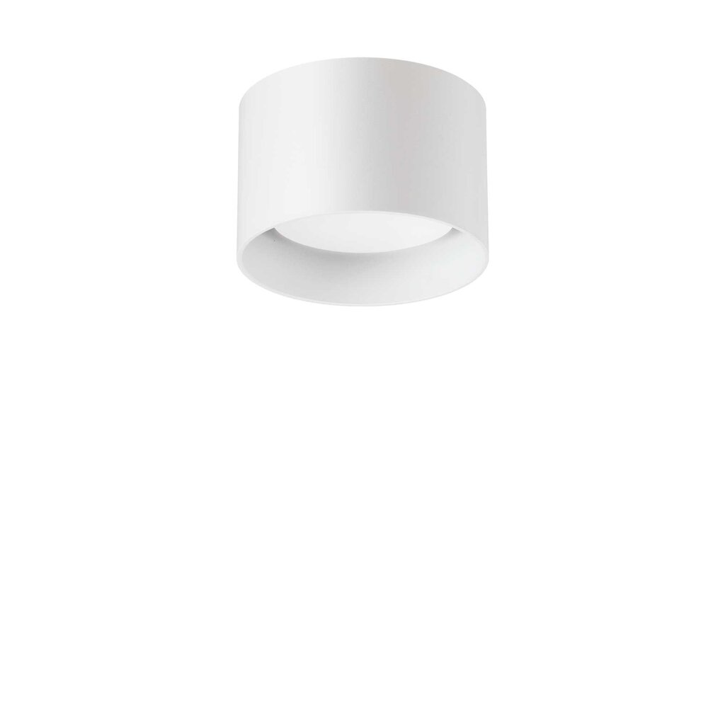 Lubinis šviestuvas Spike PL1 Bianco kaina ir informacija | Lubiniai šviestuvai | pigu.lt