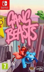 Switch Gang Beasts цена и информация | Компьютерные игры | pigu.lt