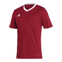 Спортивная футболка мужская Adidas Entrada 22 M H61736, красная цена и информация | Мужская спортивная одежда | pigu.lt