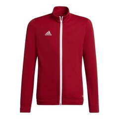 Детский свитер Adidas Entrada 22 Tk Jkt H57563, красный цена и информация | Футбольная форма и другие товары | pigu.lt