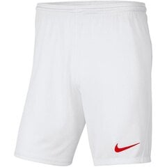 Спортивные шорты для детей Nike Y Park III Jr BV6865 103 цена и информация | Шорты для мальчиков | pigu.lt
