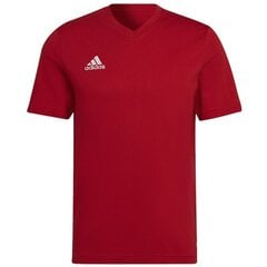 Мужская спортивная футболка Adidas Entrada 22 Tee M HC045, красная цена и информация | Мужские термобрюки, темно-синие, SMA61007 | pigu.lt