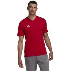 Мужская спортивная футболка Adidas Entrada 22 Tee M HC045, красная цена и информация | Мужская спортивная одежда | pigu.lt