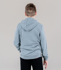Puma sportinis džemperis berniukams, 4063697293694, pilkas kaina ir informacija | Megztiniai, bluzonai, švarkai berniukams | pigu.lt