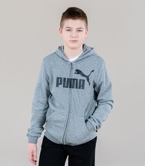 Детская спортивная кофта Puma 586968*03, серая 4063697293694 цена и информация | Свитеры, жилетки, пиджаки для мальчиков | pigu.lt