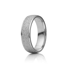 Серебряное (925) кольцо с классическим дизайном, код ah5ss5533 AH5SS5533EU-64 цена и информация | Кольца | pigu.lt