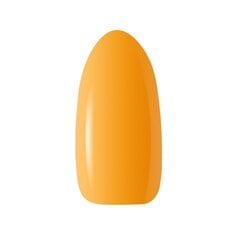 Стойкий гибридный гель лак для ногтей CLARESA WARM IN FALL 1, 5 г цена и информация | Лаки, укрепители для ногтей | pigu.lt