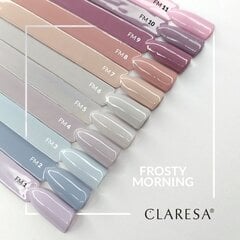 Стойкий гибридный гель лак для ногтей CLARESA Frosty Morning 7, 5 г цена и информация | Лаки, укрепители для ногтей | pigu.lt