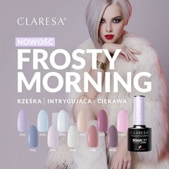 Стойкий гибридный гель лак для ногтей CLARESA Frosty Morning 6, 5 г цена и информация | Лаки, укрепители для ногтей | pigu.lt