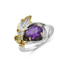 Серебряное (925) кольцо с драгоценными камнями, код f50222 F50222EU-52 цена и информация | Кольца | pigu.lt