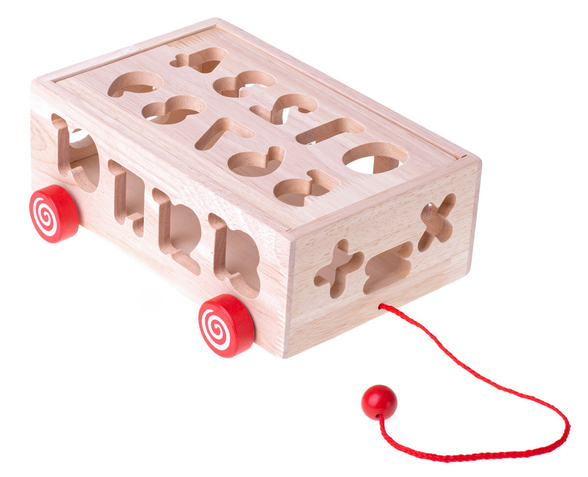 Medinis rūšiuotojas Montessori kaina ir informacija | Lavinamieji žaislai | pigu.lt