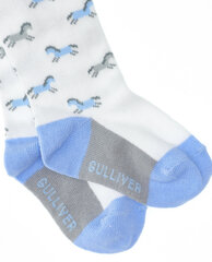 Голубые колготки с орнаментом для мальчиков «Gulliver» цена и информация | Носки, колготки для мальчиков | pigu.lt