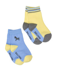 Комплект голубых носков, 2 пары для мальчиков «Gulliver» цена и информация | Носки, колготки для мальчиков | pigu.lt
