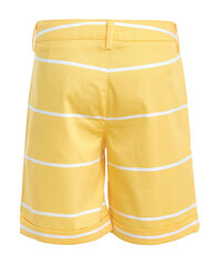 Желтые шорты для девочек «Gulliver» цена и информация | Шорты для девочек | pigu.lt