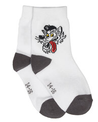 Белые носки с декором для мальчиков «Gulliver» цена и информация | Носки, колготки для мальчиков | pigu.lt