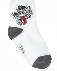Белые носки с декором для мальчиков «Gulliver» цена и информация | Носки, колготки для мальчиков | pigu.lt