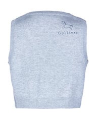 Gullive džersio liemenė berniukams, pilka kaina ir informacija | Megztiniai, bluzonai, švarkai berniukams | pigu.lt