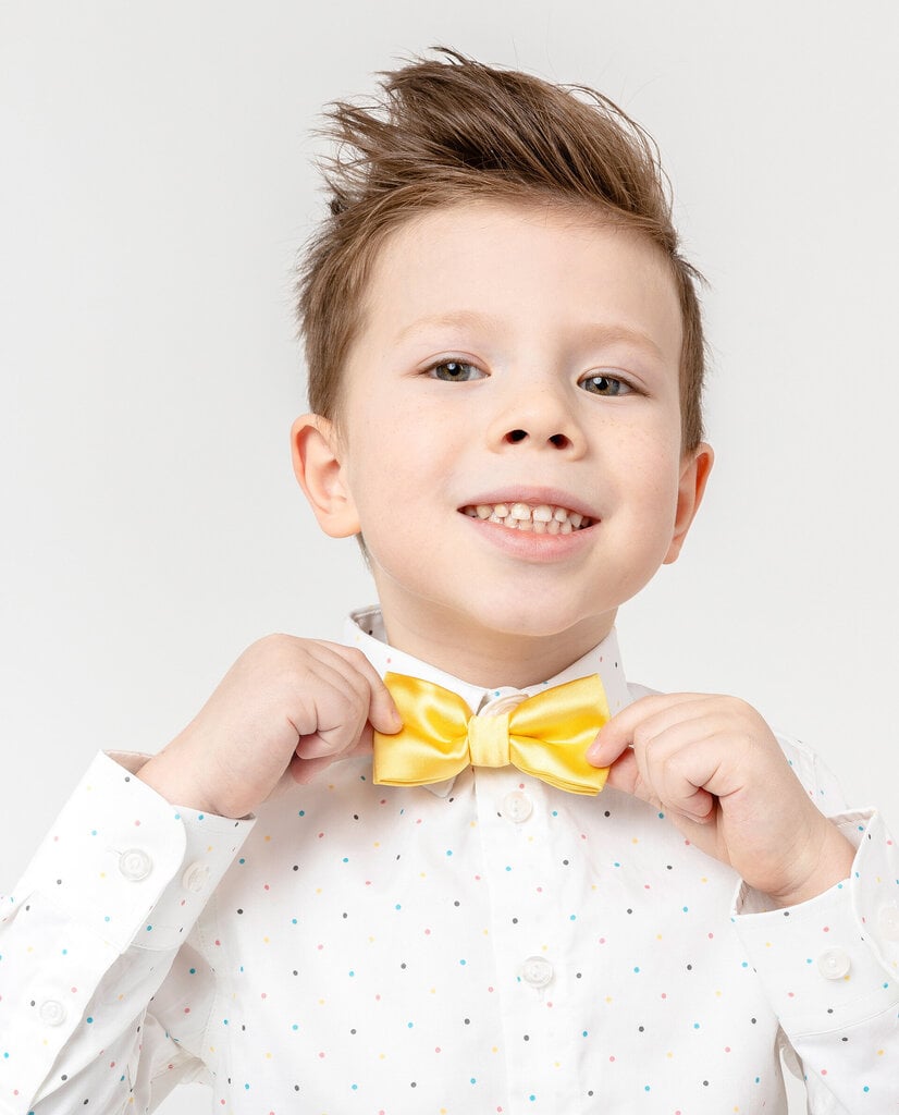 Gulliver kaklaraištis-peteliškė berniukams, geltonas kaina ir informacija | Aksesuarai vaikams | pigu.lt